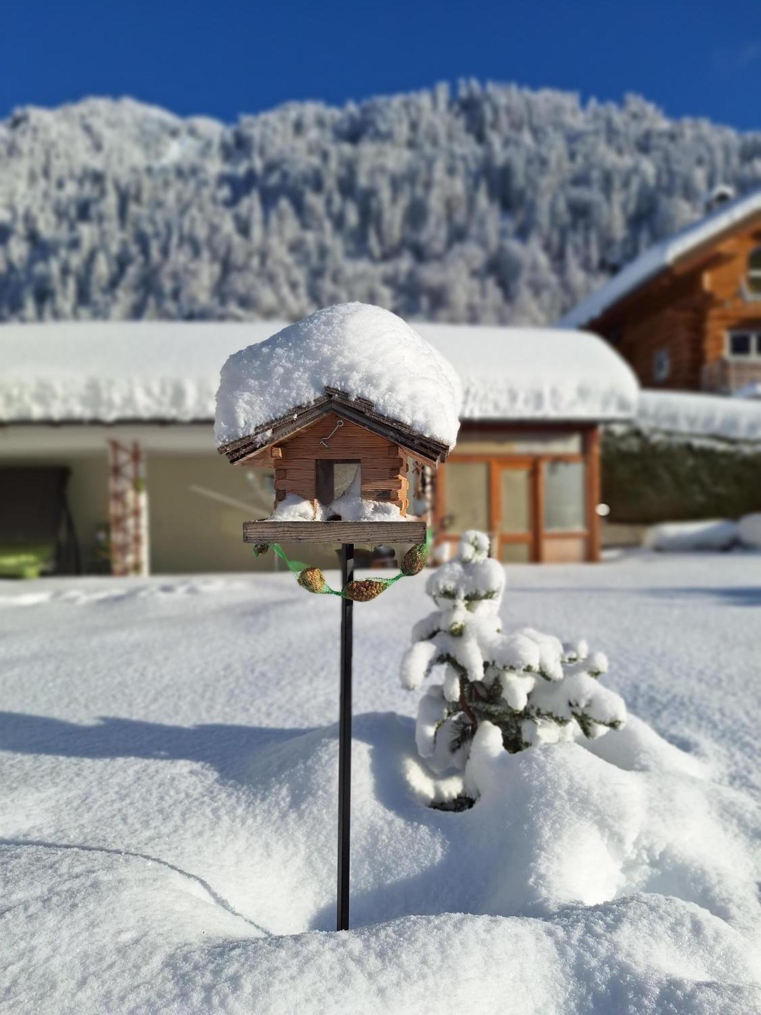 Ferienwohnungen Pollhammer Sankt Gallenkirch Exterior foto