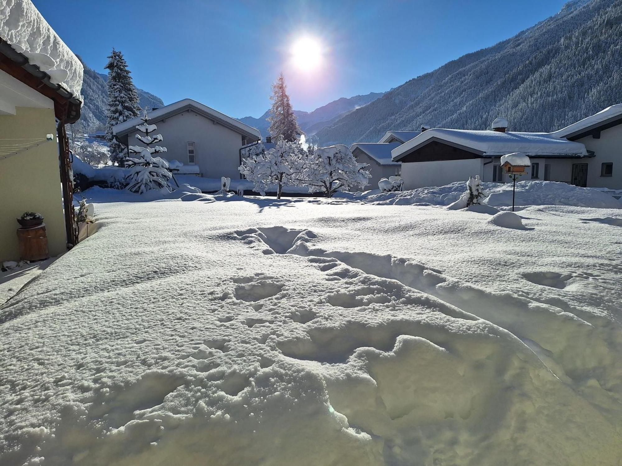Ferienwohnungen Pollhammer Sankt Gallenkirch Exterior foto